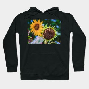 Sunflower Sister Photograph Hoodie